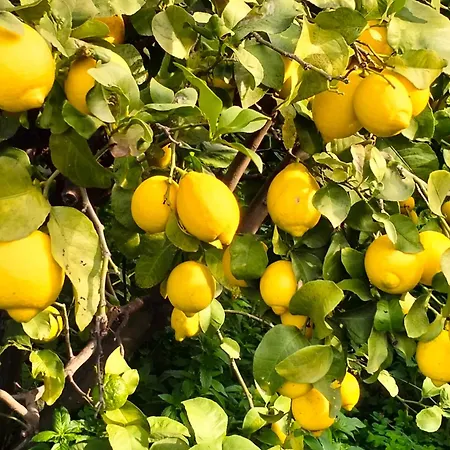 Quirin's Lägenhet Taormina